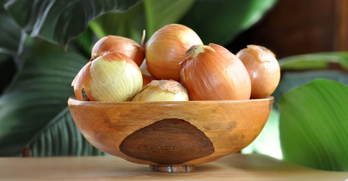 onion onion