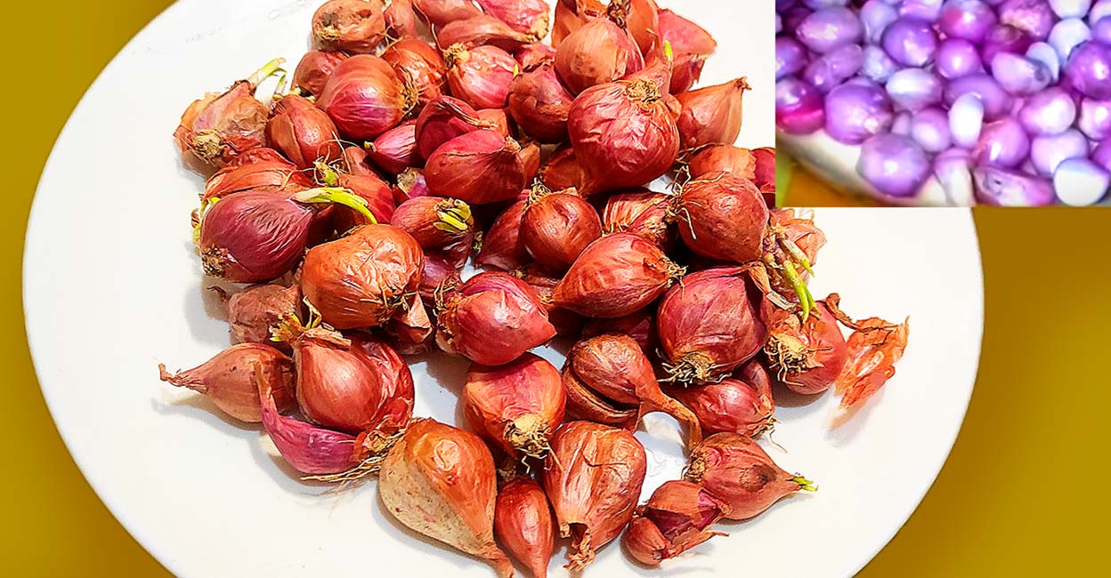 എത്ര കിലോ ചെറിയ ഉള്ളിയും എളുപ്പത്തിൽ തൊലി കളഞ്ഞെടുക്കാം Onion