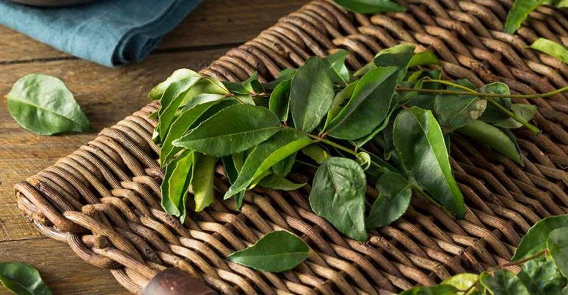 curry-leaves
