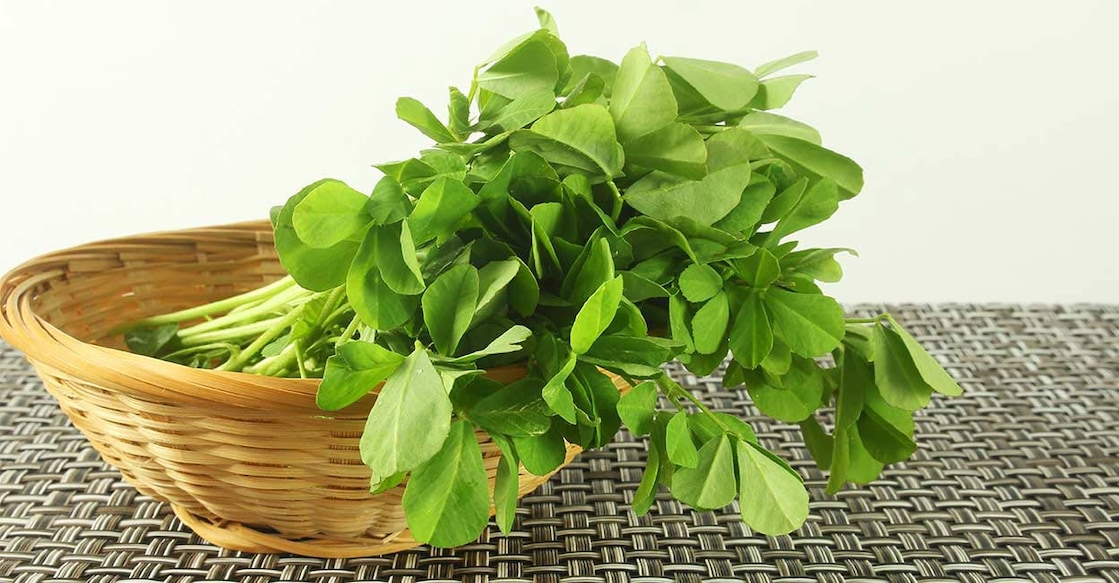 fenugreek-leaves Image Credit: Gv Image-1/Shutterstock