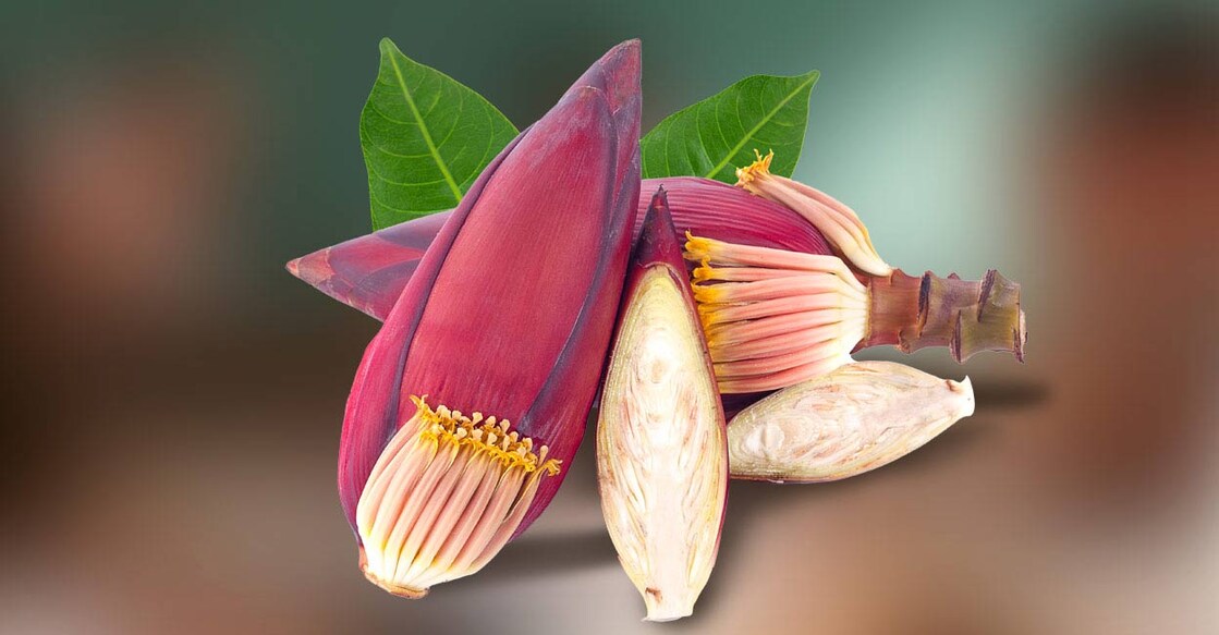 banana-flower banana-flower
