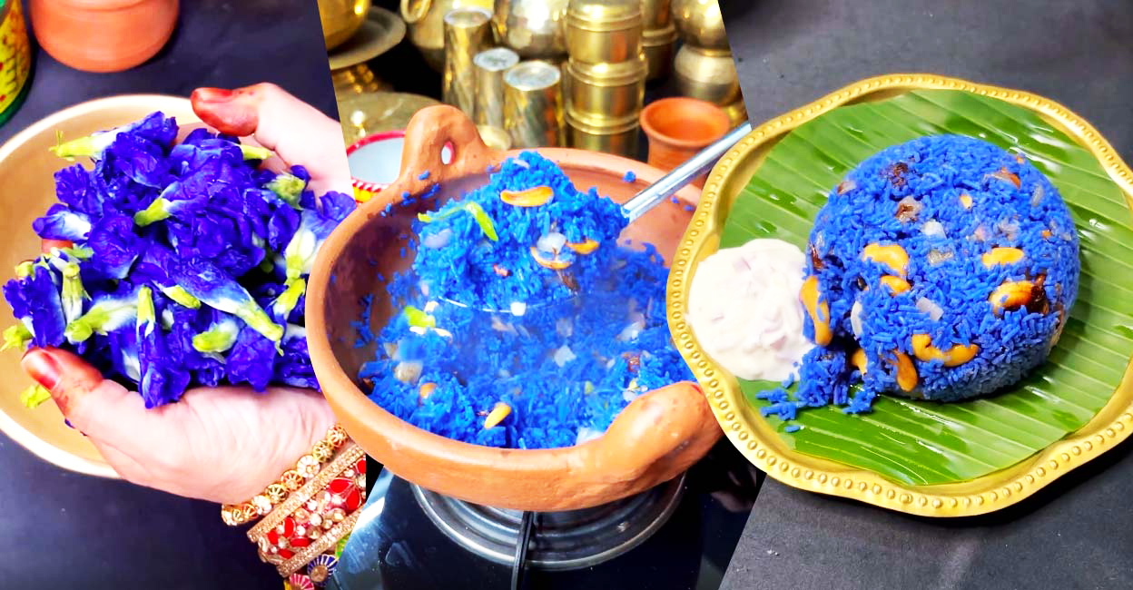 ഇതെന്താ നീല അരി കൊണ്ടുള്ള നെയ്യ്ചോറോ? ഇതെങ്ങനെ! | Blue Butterfly pea ...