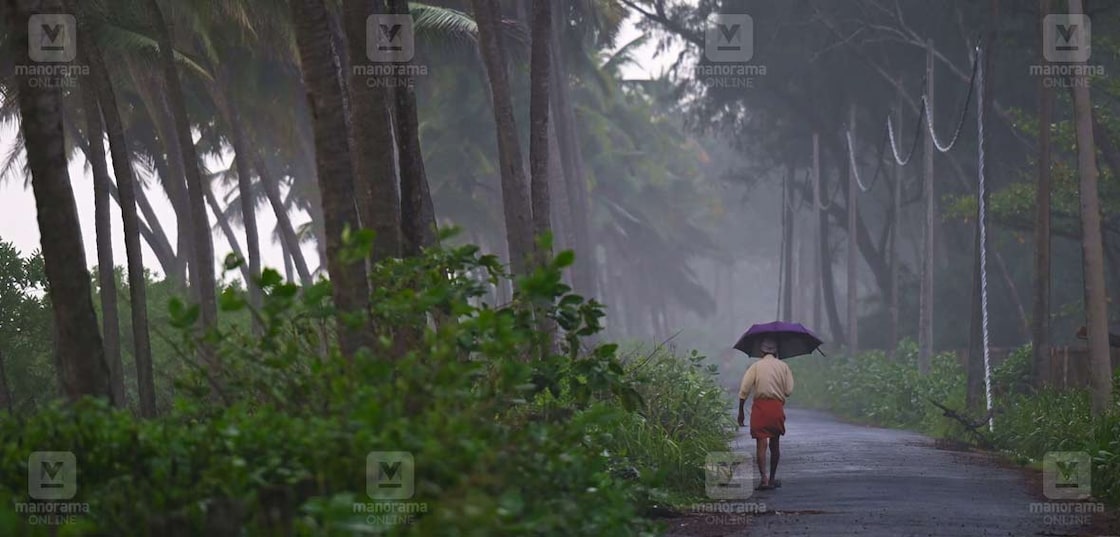 മഴ തോർന്ന നേരം...
മഴ ഇഷ്ടമില്ലാത്ത മനുഷ്യരുണ്ടാവില്ല, മനസ്സും ശരീരവും കുളിർപ്പിക്കുന്നതാണ് ഓരോ മഴയും. കടുത്ത ചൂടിൽ പെയ്യുന്ന ഓരോ തുള്ളിയും വലിയ ആശ്വാസമാണ് നൽകുന്നത്‌. മഴയ്ക്ക് ശേഷം കാസർകോട് ജില്ലയിലെ നെല്ലിക്കുന്നിൽ നിന്നുള്ള കാഴ്ച. ചിത്രം : അഭിജിത്ത് രവി ∙ മനോരമ