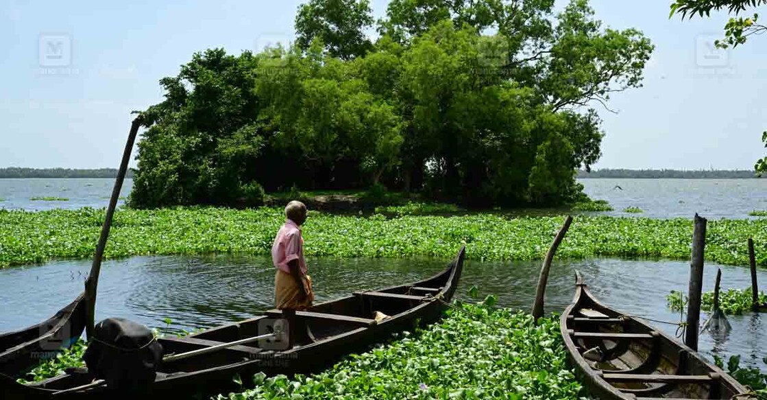 വൈക്കം ടിവി പുരത്തെ വിളക്കുമാടത്തുരുത്ത്.  ചിത്രം : റിജോ ജോസഫ് / മനോരമ