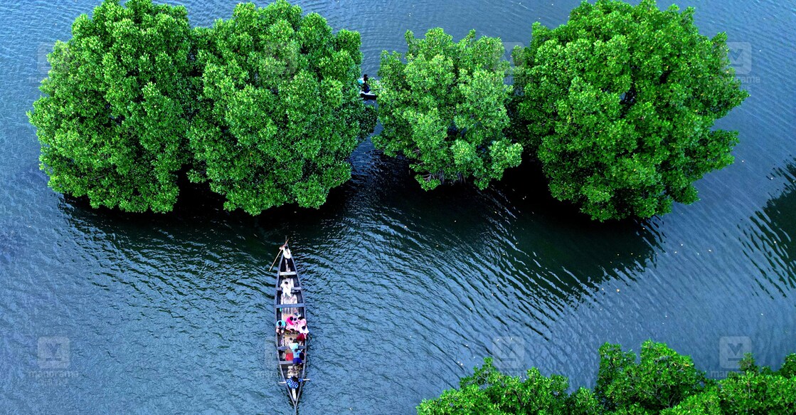 Mandro Island 