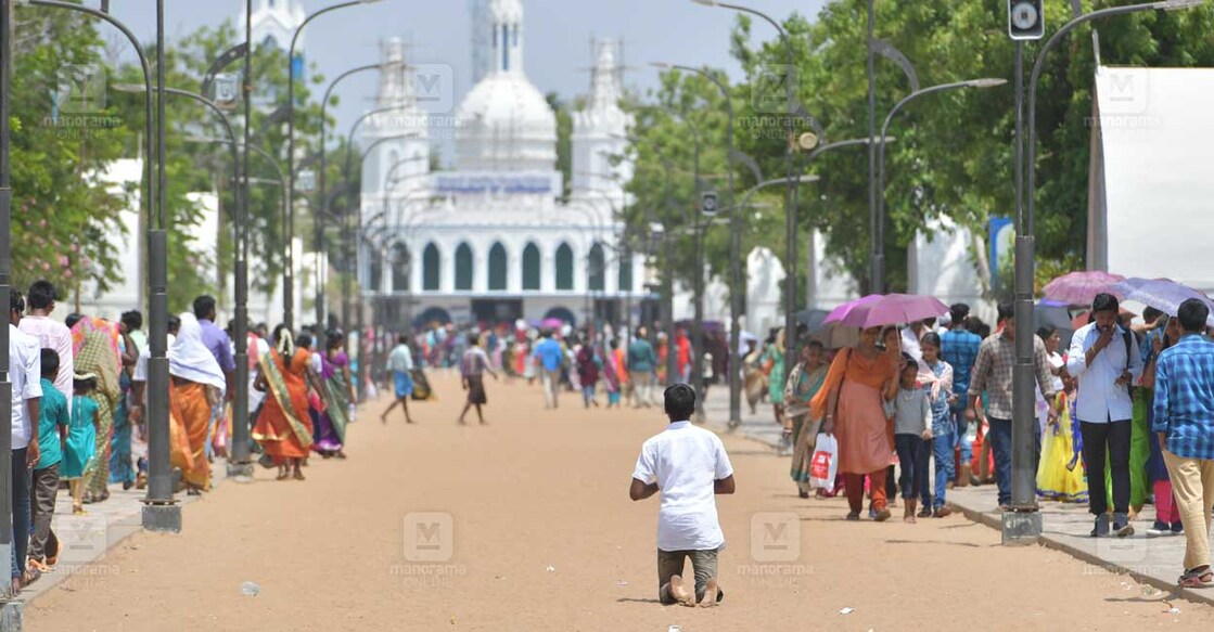 വേളാങ്കണ്ണി പള്ളിമുറ്റത്തു  പ്രാർഥിച്ച് മുട്ടിലിഴയുന്ന വിശ്വാസികൾ. ഫോട്ടോ ജോസ്കുട്ടി പനയ്ക്കൽ ∙ മനോരമ

