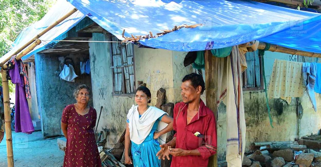 മുണ്ടേരി വിത്തുകൃഷിത്തോട്ടത്തിന്റെ പൊട്ടിപ്പൊളിഞ്ഞു വീഴാറായ ക്വാർട്ടേഴ്സുകളിൽ താമസിക്കുന്ന തണ്ടൻകല്ല് നിവാസികൾ. (ചിത്രം: മനോരമ)
