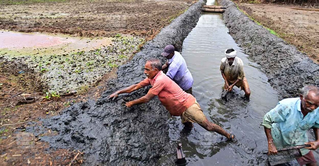 Kuttanad Farmers