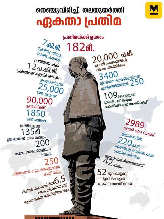 statue-of-unity-mob