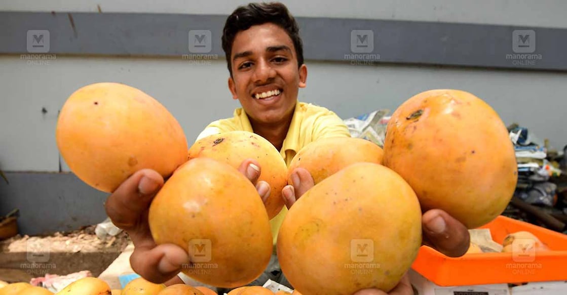  National-Fruit-Mango