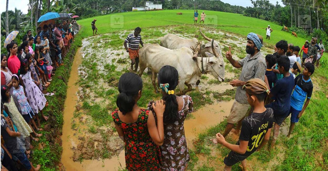 traditional-farming