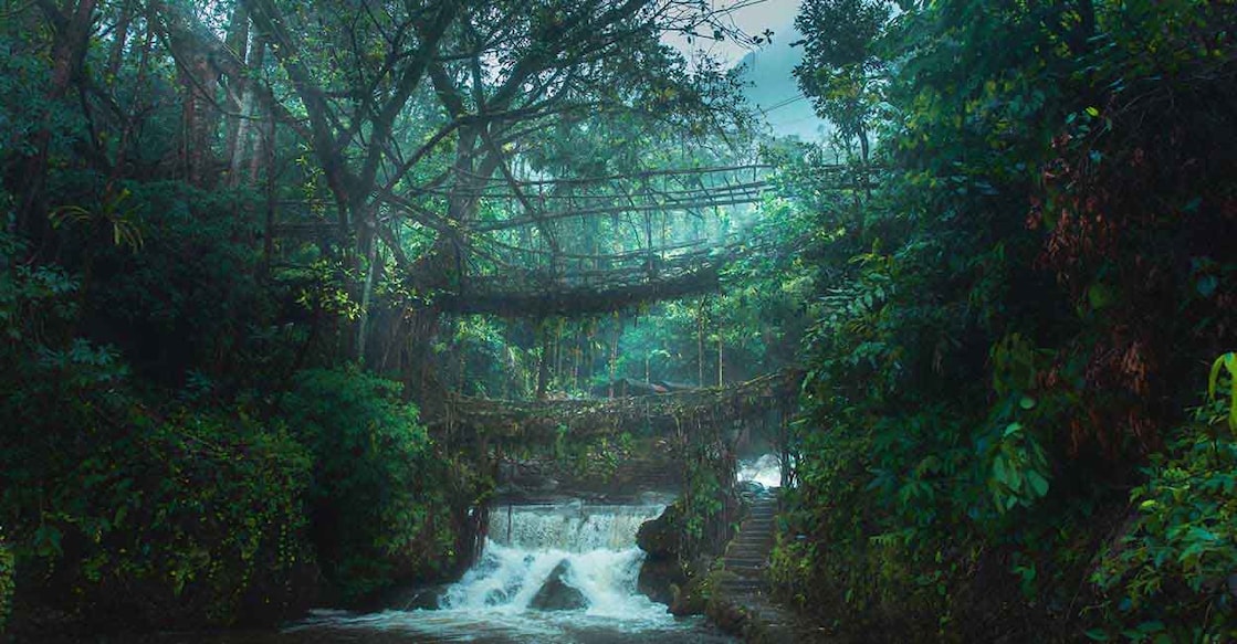 cherrapunji-main ചിറാപുഞ്ചിയിലെ ലിവിങ് റൂട്ട് ബ്രിഡ്ജ്. (Phoho by : istock/Praveen Jayakaran)