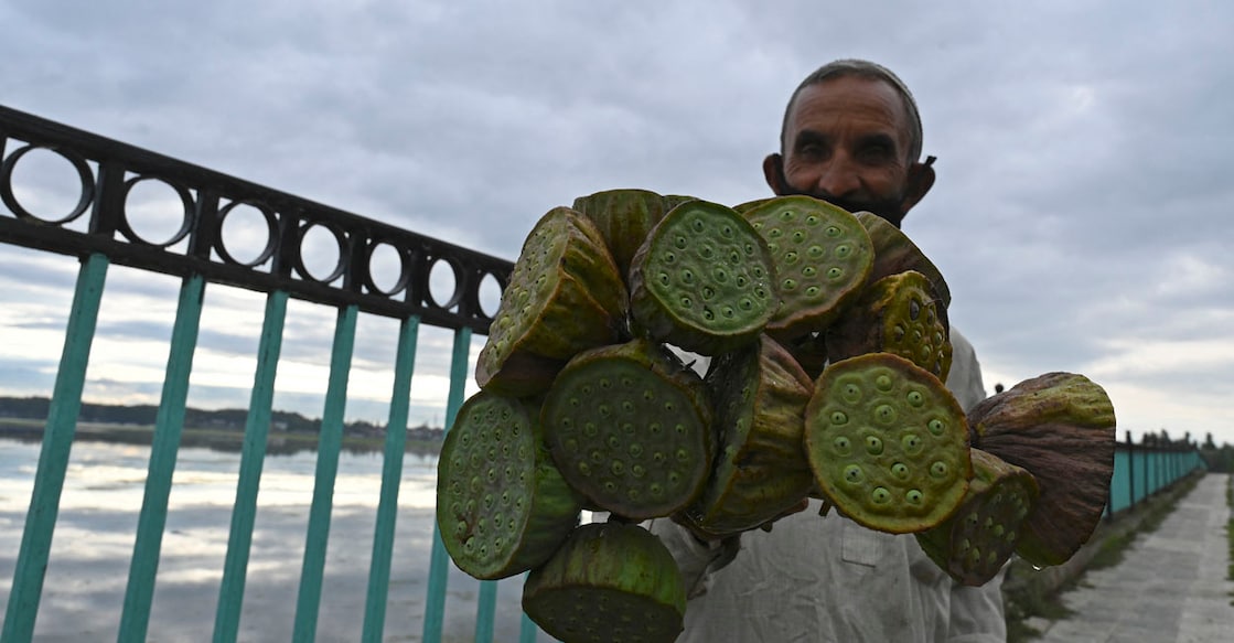 INDIA-KASHMIR-ECONOMY മഖാനാ കർഷകൻ (Photo by Tauseef MUSTAFA / AFP)