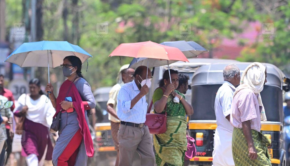 കനത്ത വെയിലിനെ പ്രതിരോധിക്കാൻ കുടയുമായി നടന്നു നീങ്ങുന്നവർ. (ചിത്രം: മനോരമ)