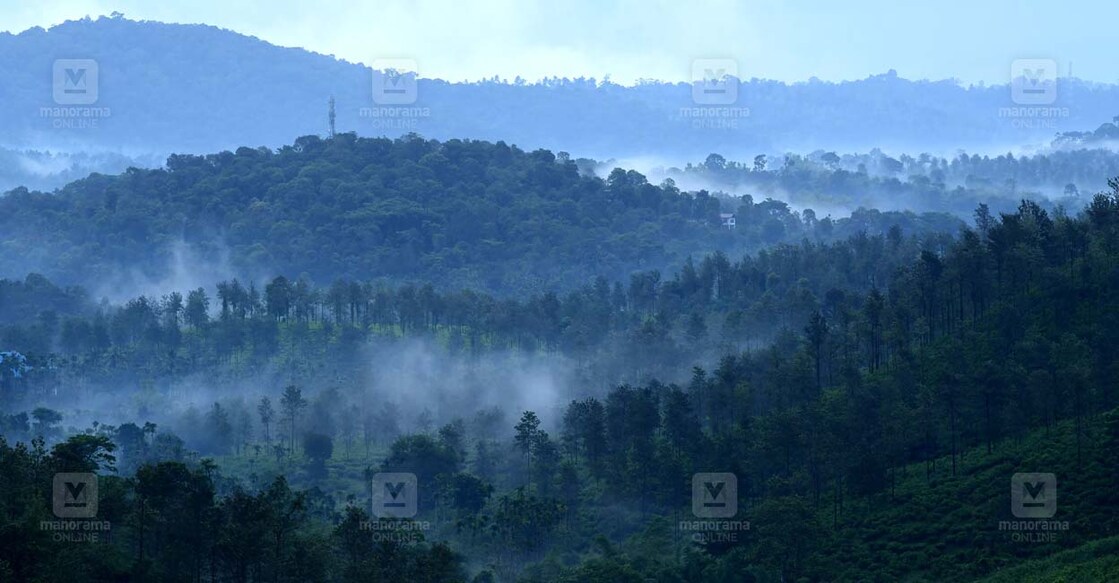 wayanad-main1 wayanad-main1