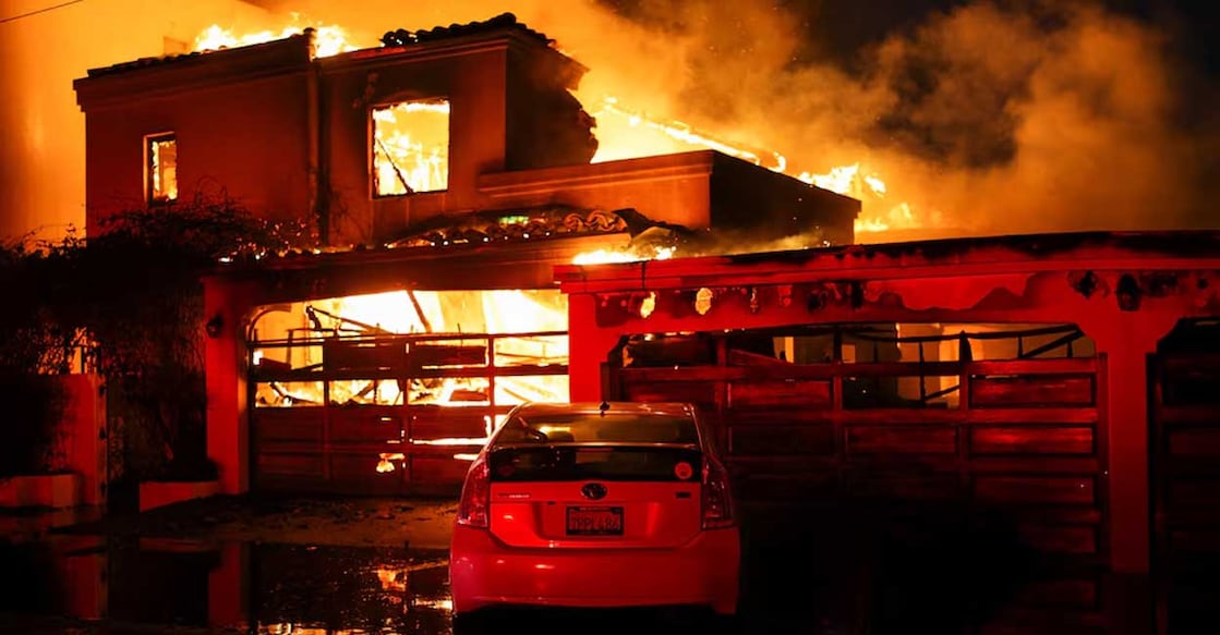 wildfire wildfire