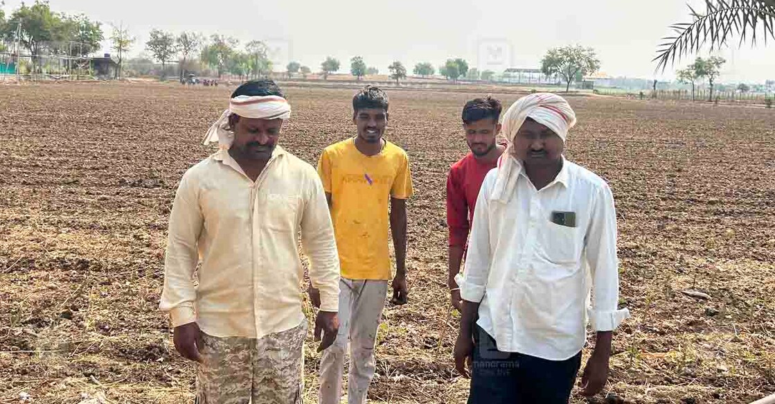 വിവാഹം നടക്കാത്ത യുവാക്കളിൽ ചിലർ അകോള ജില്ലയിലെ കാനേരി സറപ്പ് ഗ്രാമത്തിലെ കൃഷിയിടത്തിൽ. ചിത്രം: മനോരമ