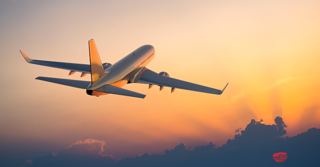 flight-1 Representative image (istock/spooh)