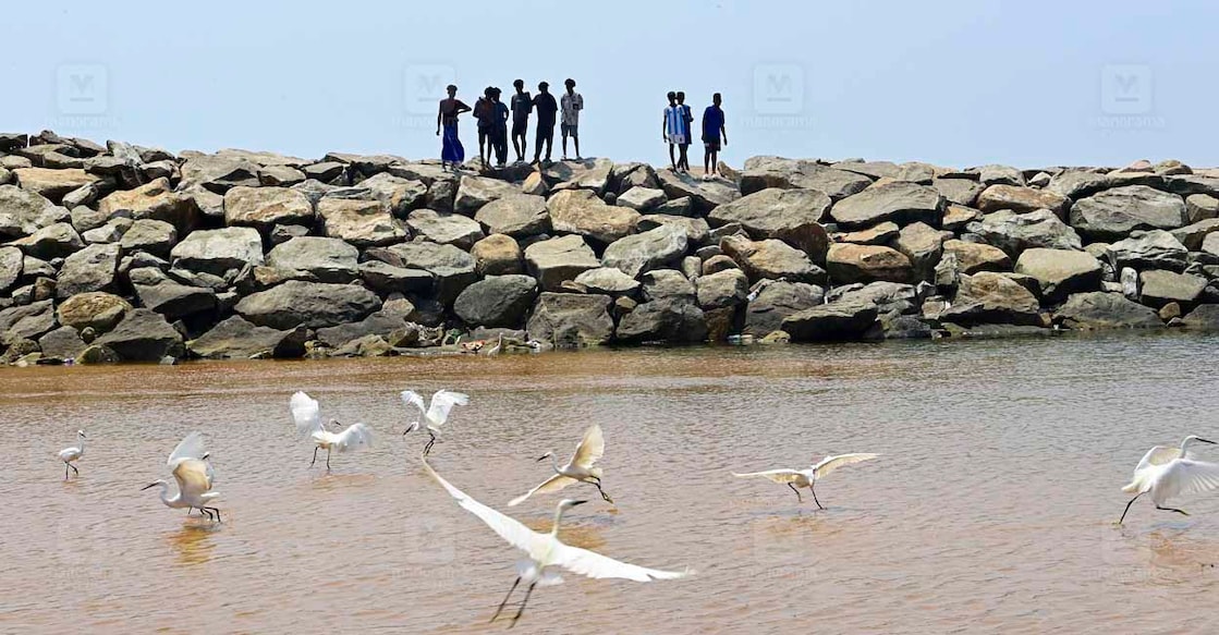 muthalapozhi-image-4 തിരുവനന്തപുരം മുതലപ്പൊഴി അഴിമുഖത്തുനിന്നുള്ള കാഴ്ച. ചിത്രം: റിങ്കുരാജ് മട്ടാഞ്ചേരിയിൽ∙ മനോരമ