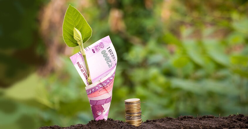 money-grow money-grow