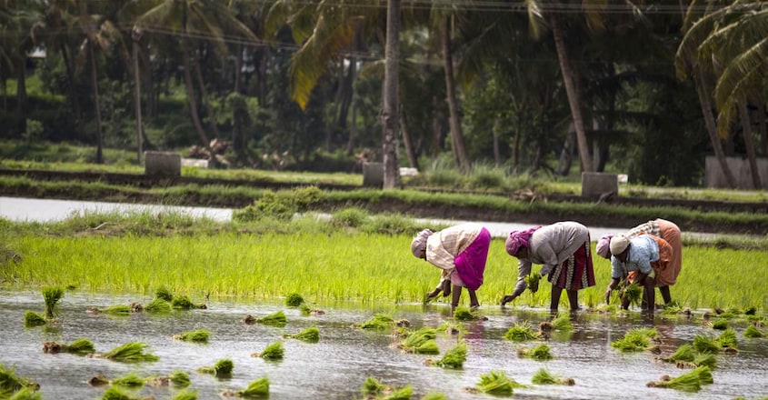 Agri-kerala Agri-kerala