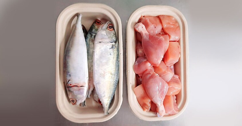 Sinto-fish Sinto-fish