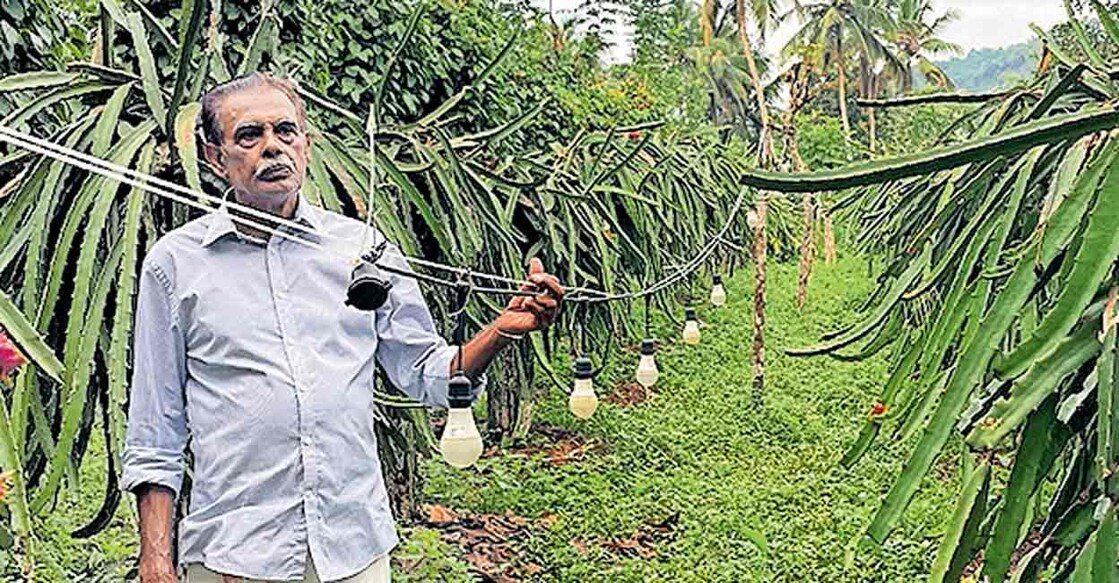 സെബാസ്റ്റ്യൻ പി.അഗസ്റ്റിൻ കൃഷിയിടത്തിൽ