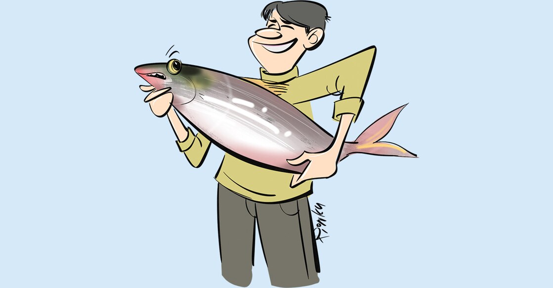 fish