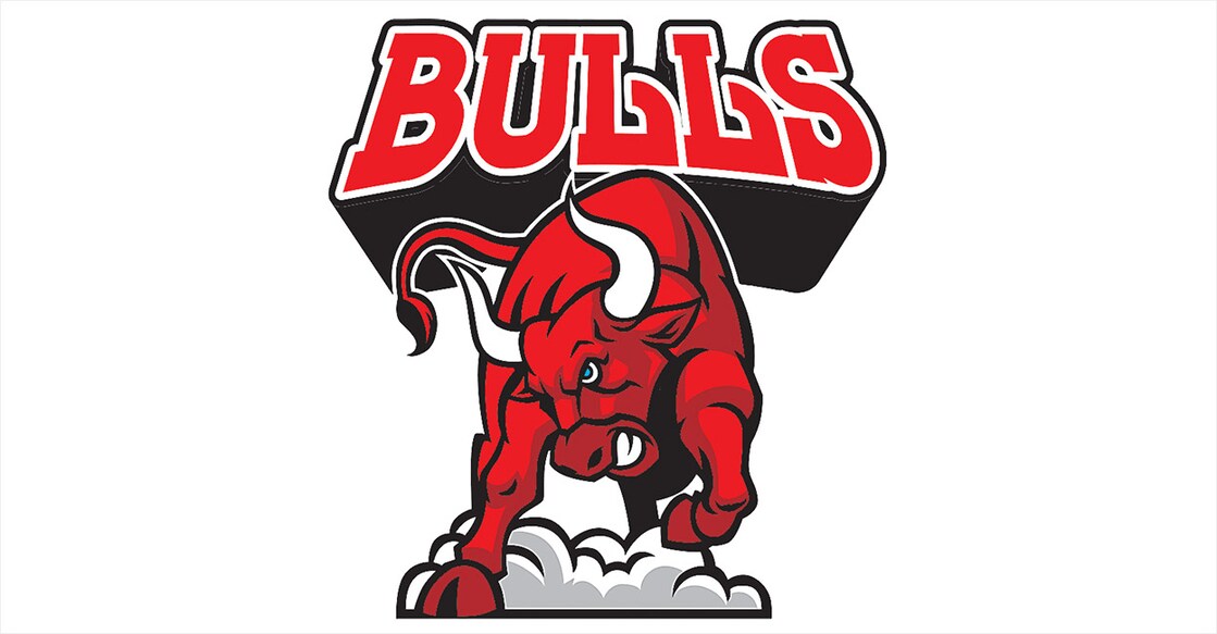 bulls