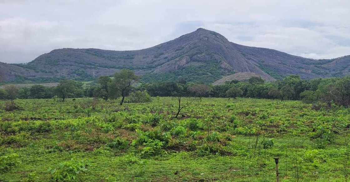 പാലക്കാട് സ്റ്റേഡിയം നിർമിക്കുന്ന സ്ഥലം