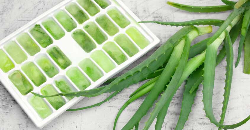 aloevera-cube aloevera-cube