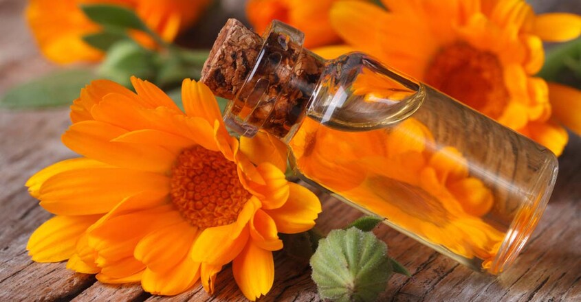 Calendula-oil Calendula-oil