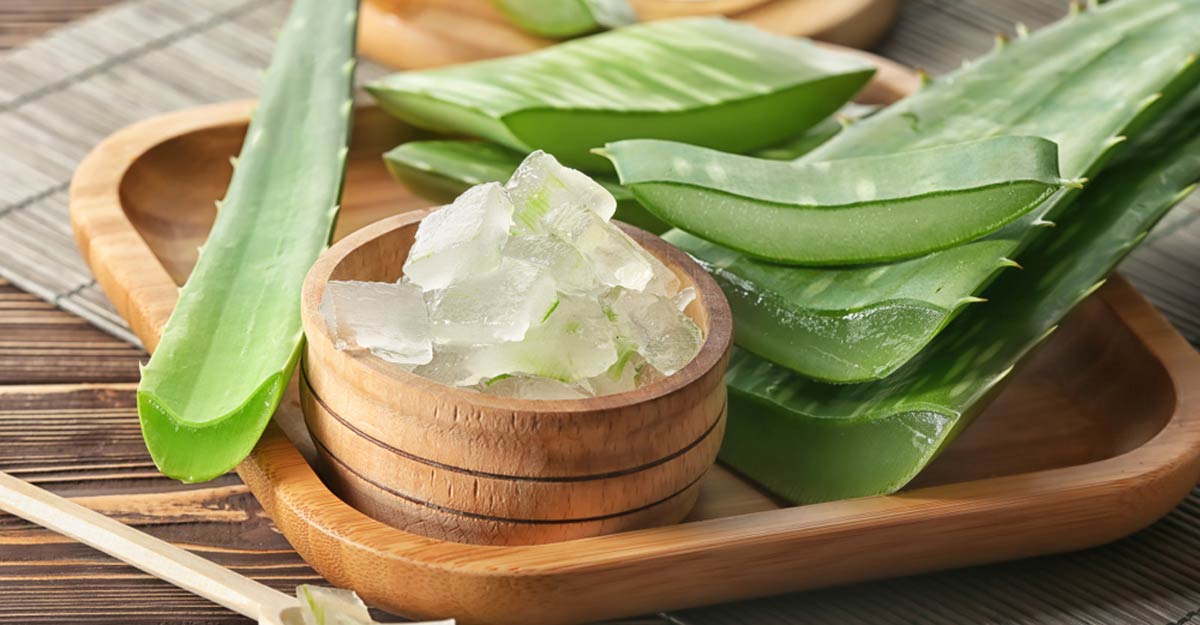 കറ്റാർ വാഴ ഉപയോഗം ; ഇക്കാര്യം ശ്രദ്ധിക്കാം Aloe Vera Beauty Tips