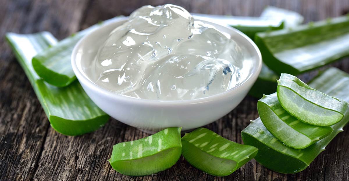 കറ്റാർവാഴ Aloe vera