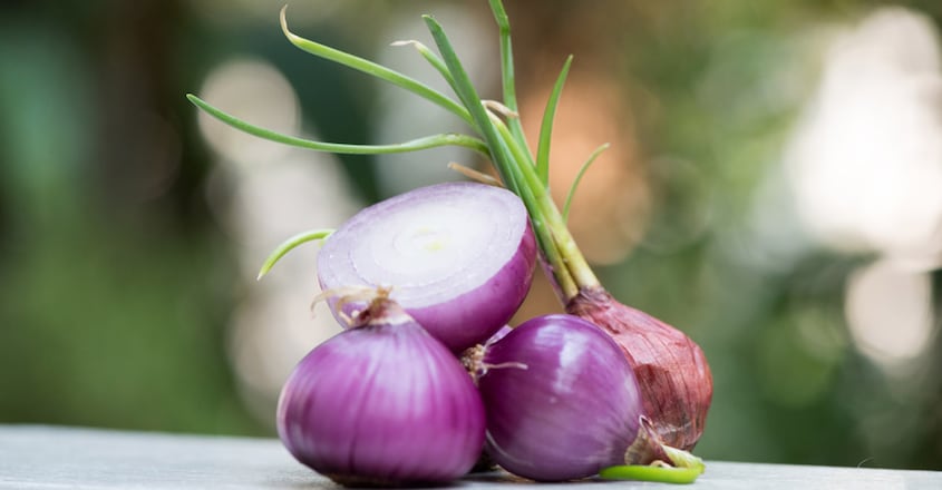 raw-onion-juice-beauty-benefits raw-onion-juice-beauty-benefits