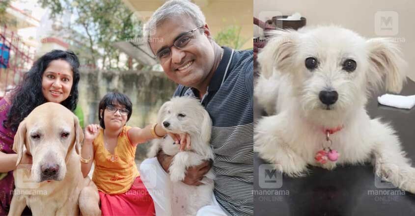 POPPY-PUPPY-3 POPPY-PUPPY-3