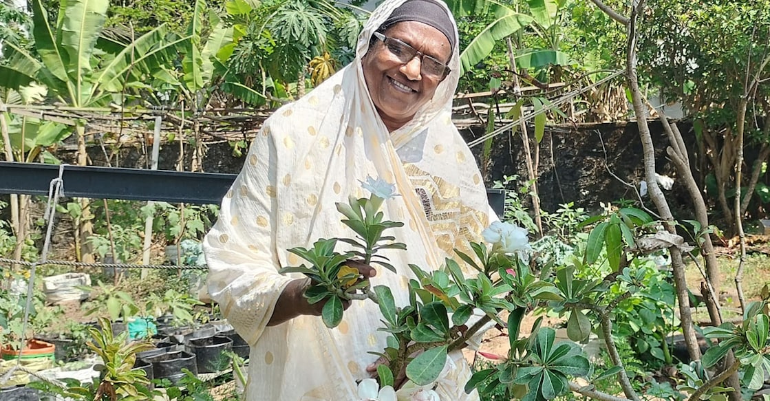 athikka-main ആത്തിക്ക കൃഷിയിടത്തിൽ∙ ചിത്രം: സ്പെഷ്യൽ അറേഞ്ച്മെന്റ്