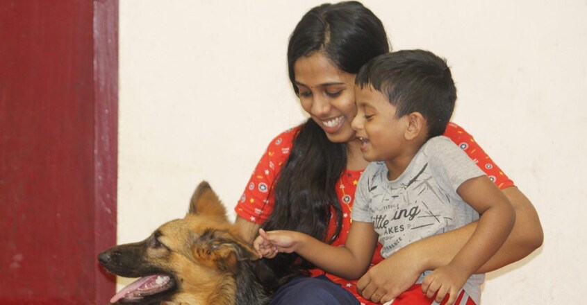 laze-media-dog-trainer-article-image laze-media-dog-trainer-article-image