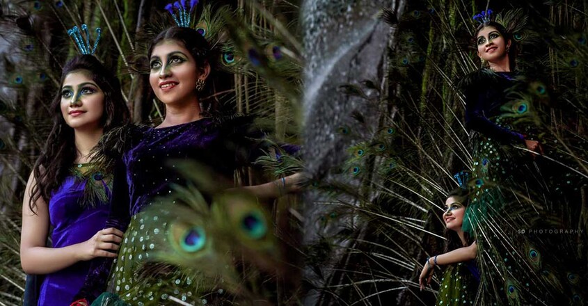 peacock-love-story-4 peacock-love-story-4