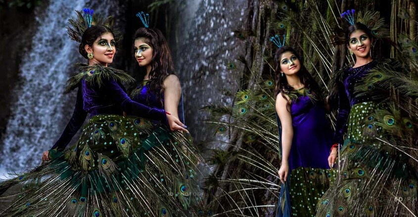peacock-love-story-5 peacock-love-story-5