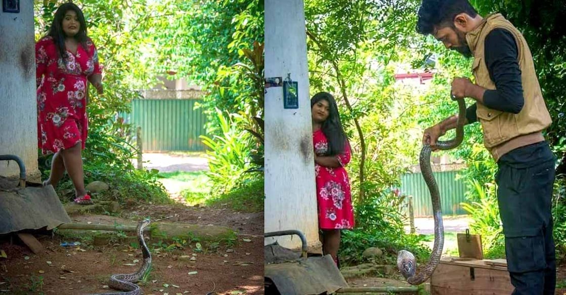viral-pre-wedding-photoshoot-with-snake Image Credits: Twitter