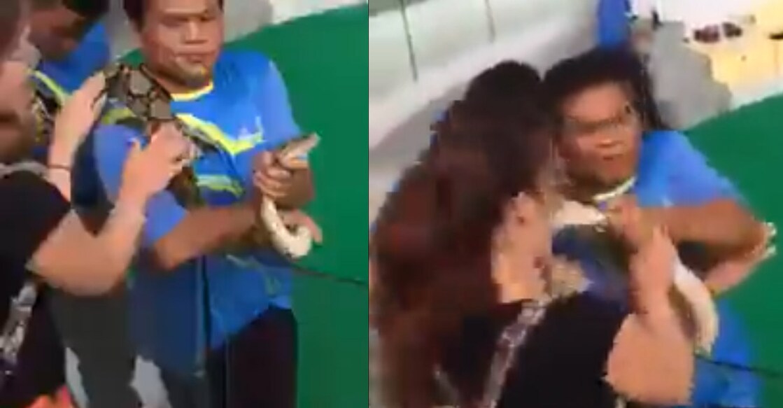 woman-kisses-snake-it-kisses-her-back-in-viral-video Image Credits: Twitter/cctvidiots