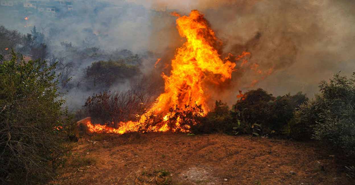 Shamis Fire ബാഷർ അസദിന്റെ ജന്മനാട്ടിൽ തീവയ്പ്, 24 പേരെ പരസ്യമായി വധിച്ച് സിറിയ