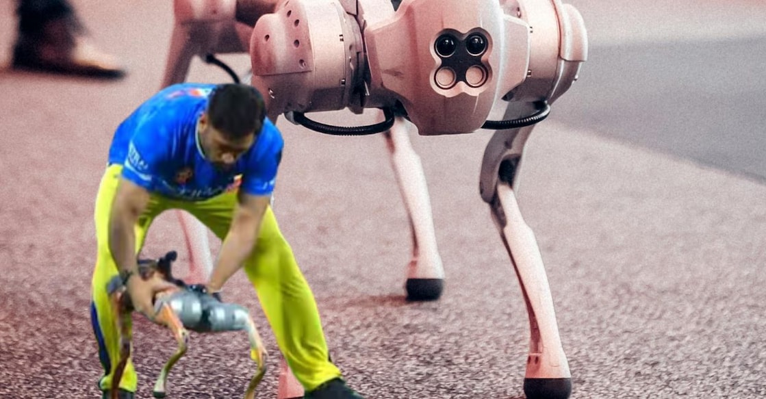 robot-dog - 1 robot-dog - 1