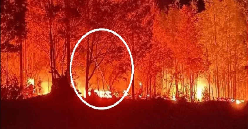 laser-fire- laser-fire-