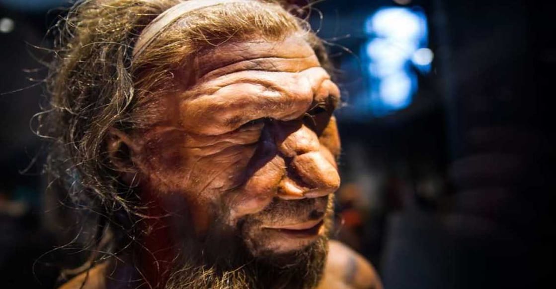 neanderthals-