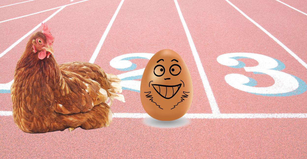 ആദ്യം ഉണ്ടായത് കോഴിയോ മുട്ടയോ? രസകരമായ ഉത്തരവും, മുട്ടചരിതവും