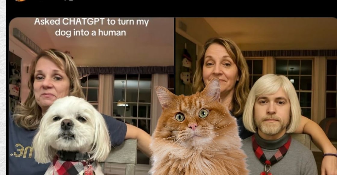 cat-gpt-be - 1 cat-gpt-be - 1