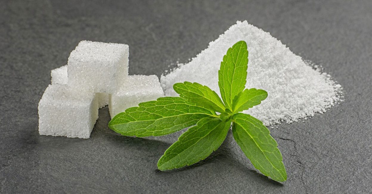 stevia-image1