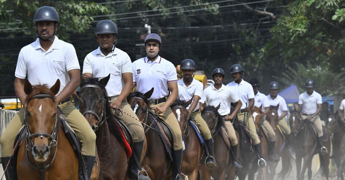 mounted-police